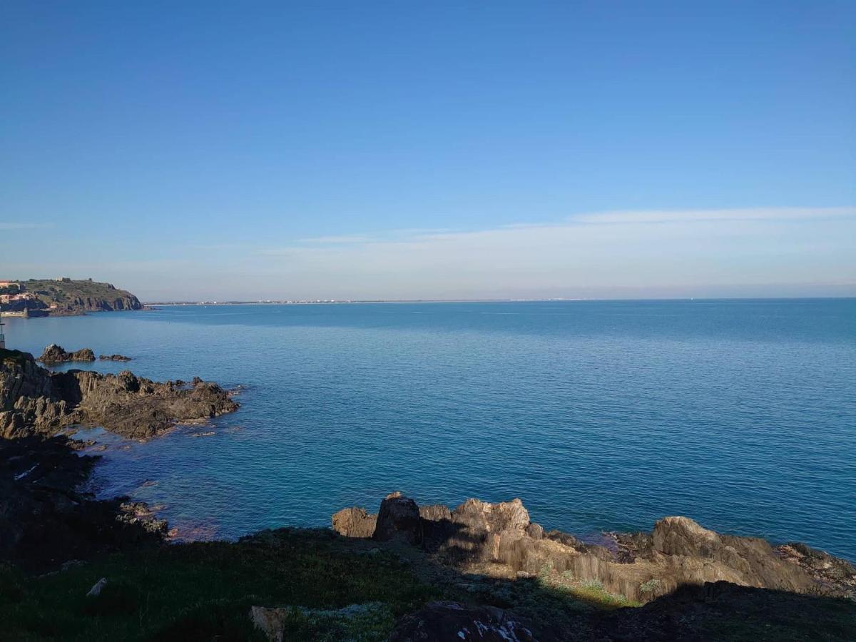 4Rb4 Appartement Type T2 Bord De Mer Acces Plage Direct Collioure Zewnętrze zdjęcie