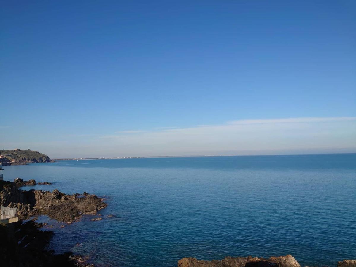 4Rb4 Appartement Type T2 Bord De Mer Acces Plage Direct Collioure Zewnętrze zdjęcie