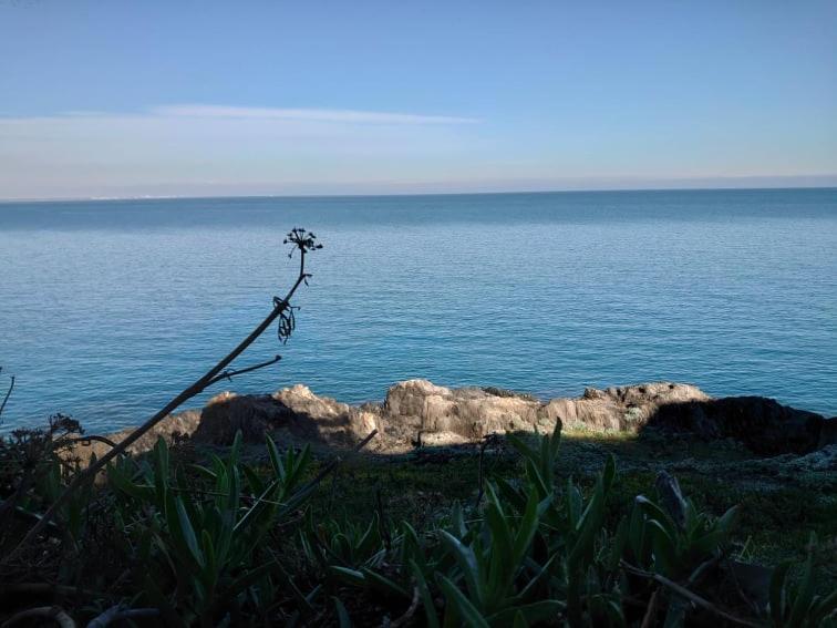 4Rb4 Appartement Type T2 Bord De Mer Acces Plage Direct Collioure Zewnętrze zdjęcie